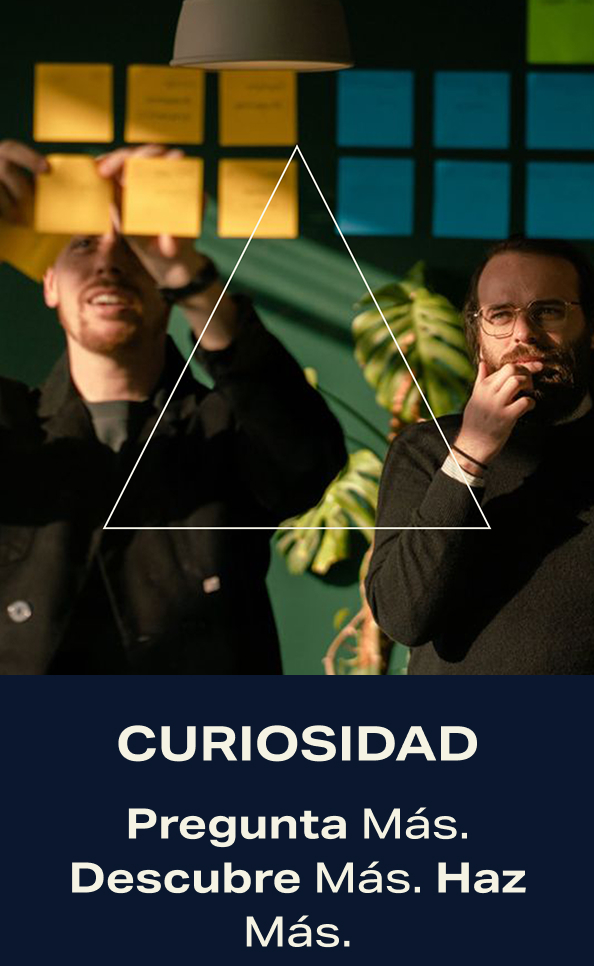 Curiosidad Elementor