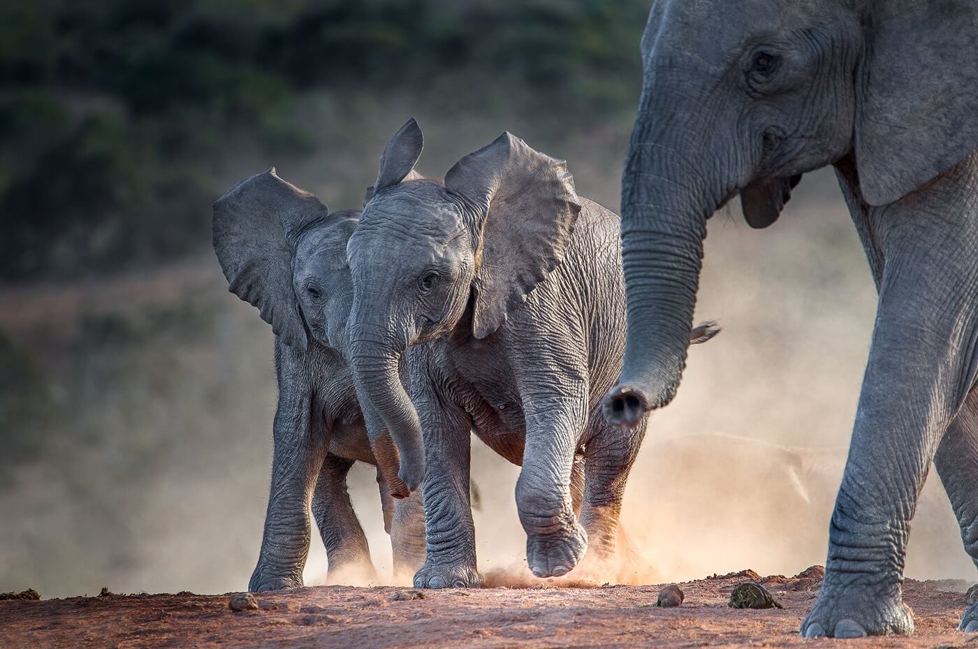 Southern Africa travel
