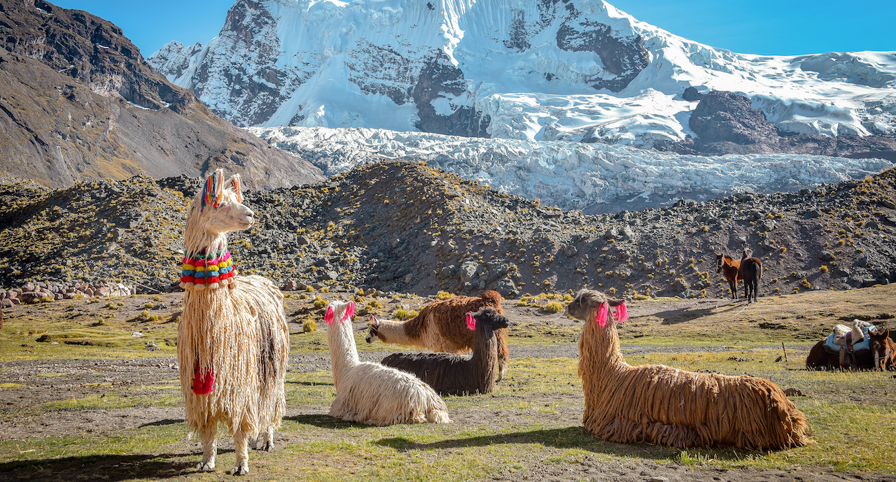 Travel Inspiration: Perusing Peru