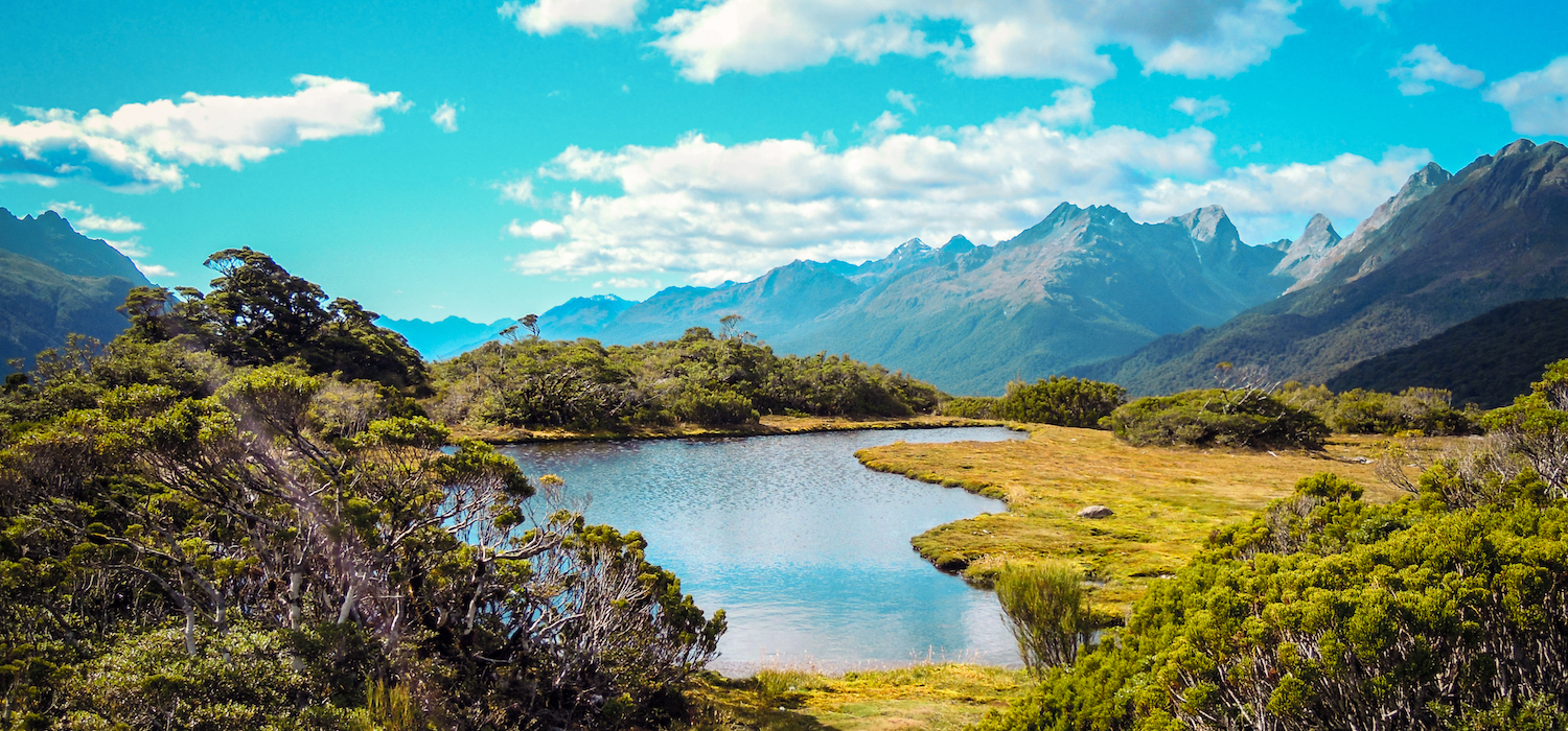 New Zealand travel