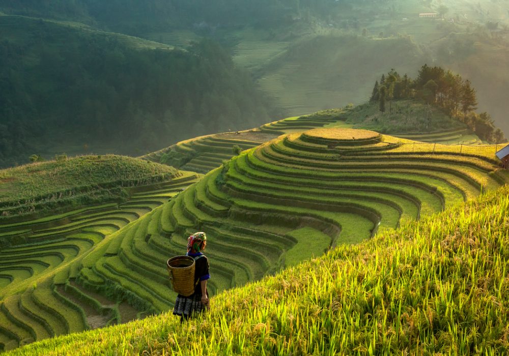 Travel Inspiration: A Dream of Indochine: Vietnam