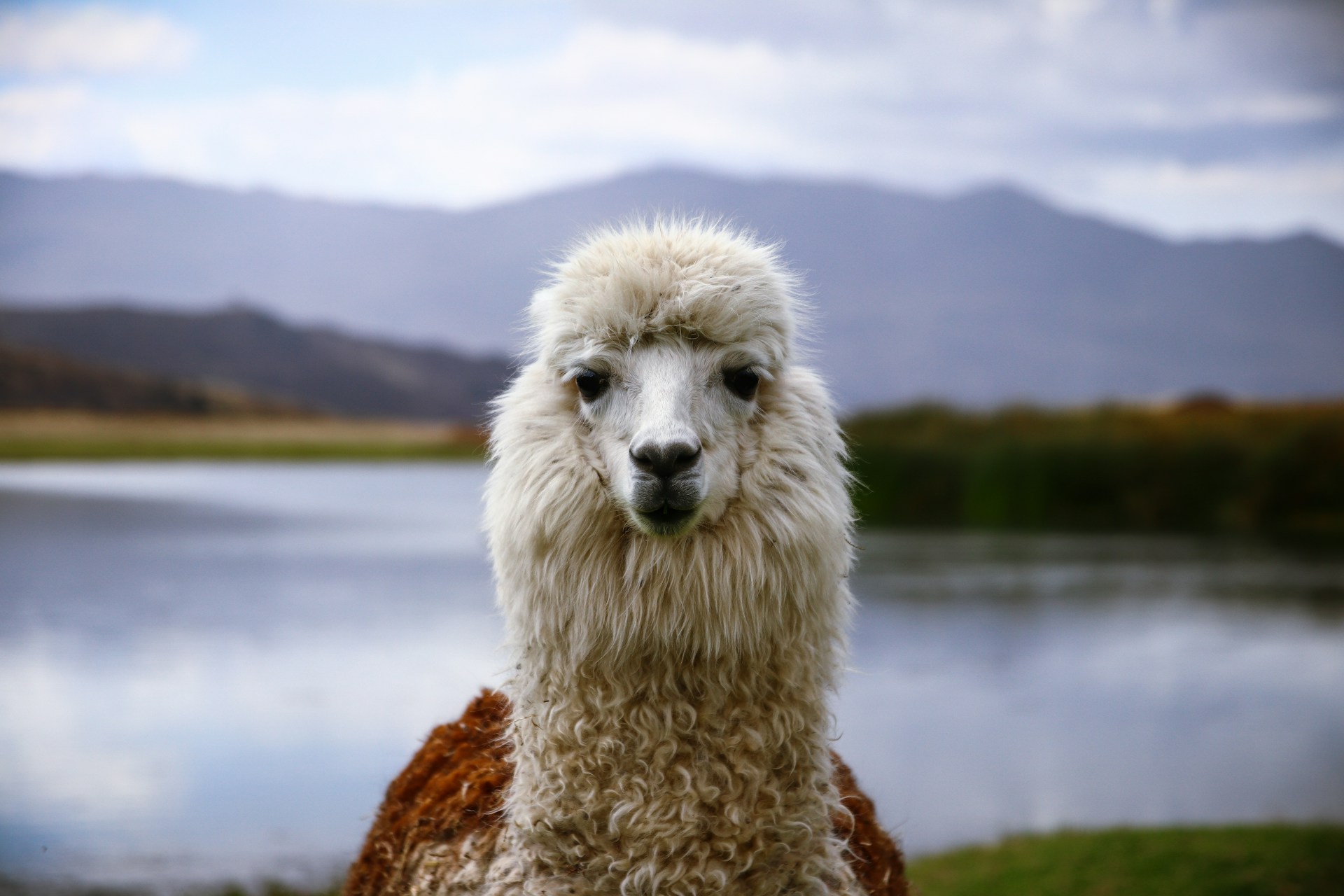 South America travel