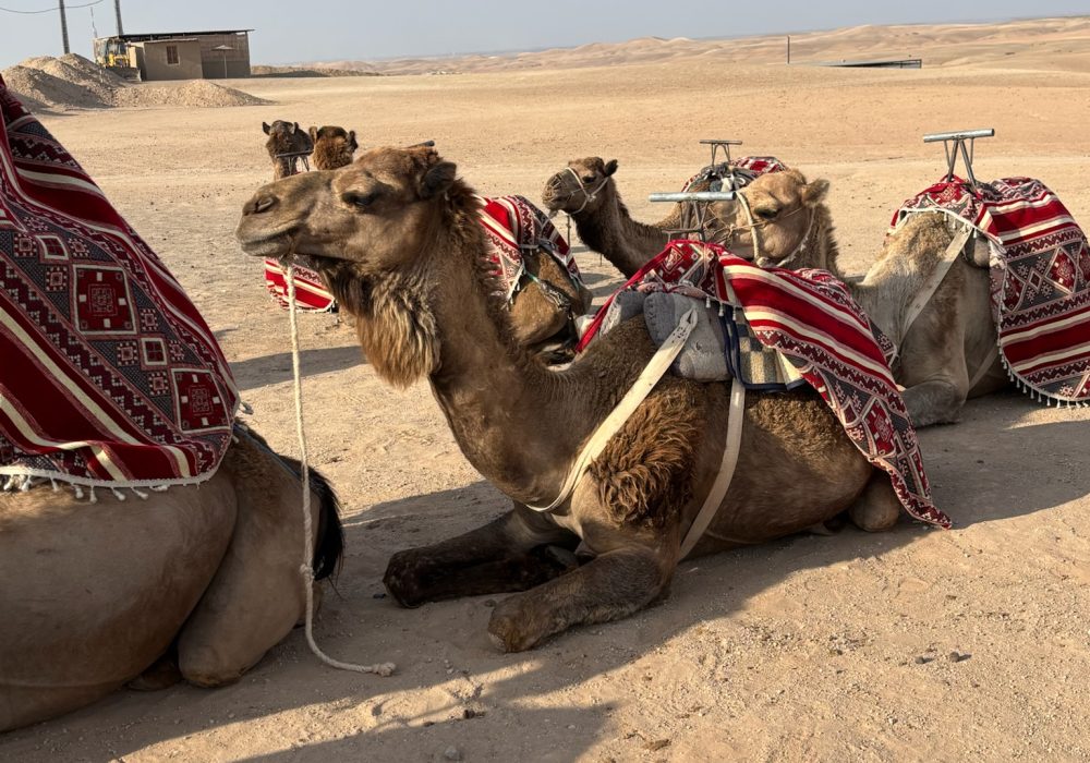 R. Crusoe On the Road: A Journey Through Morocco