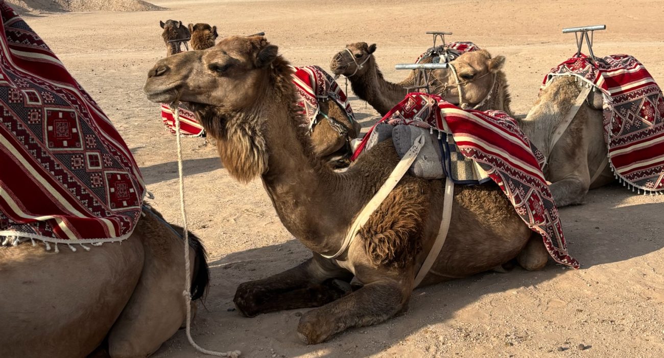 R. Crusoe On the Road: A Journey Through Morocco